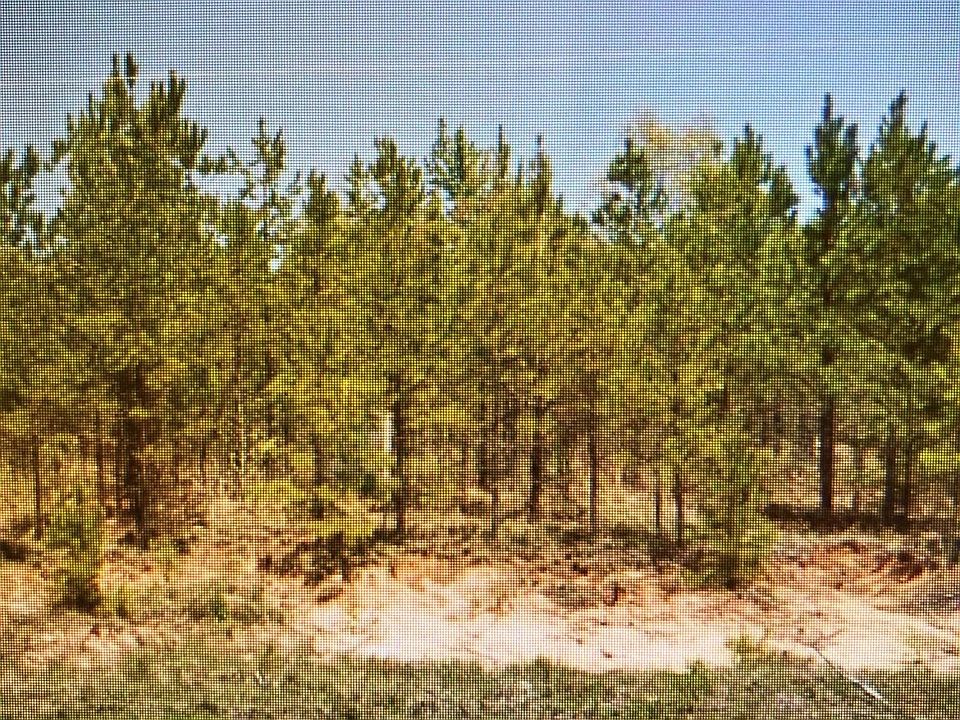 1st image of 2143 Highway 30 E