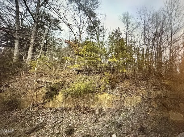 1059 Kellum Creek Rd, Sevierville, TN 37876