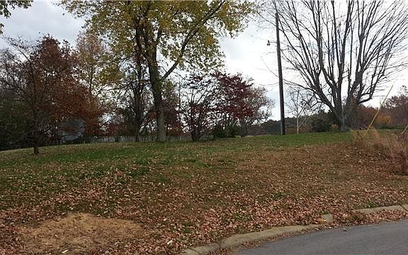 2nd image of 131 Tison Ln