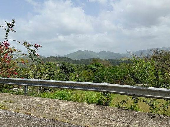 The paradise at the south side