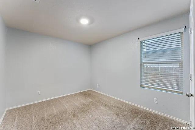 829 Margay Loop — Photo 10