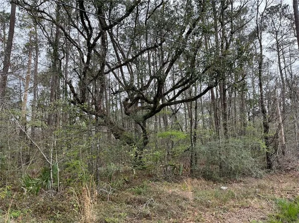 Campbell Ln, Ponchatoula, LA 70454