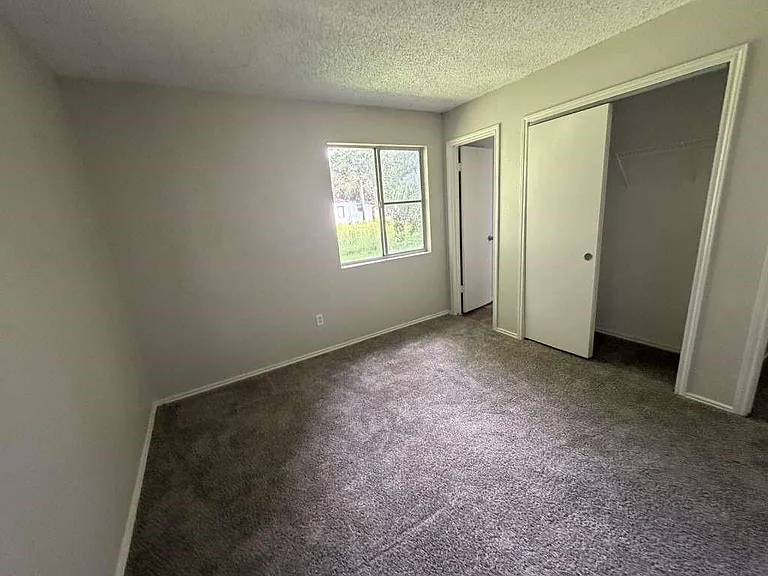 13623 Hb Collins Ct — Photo 7