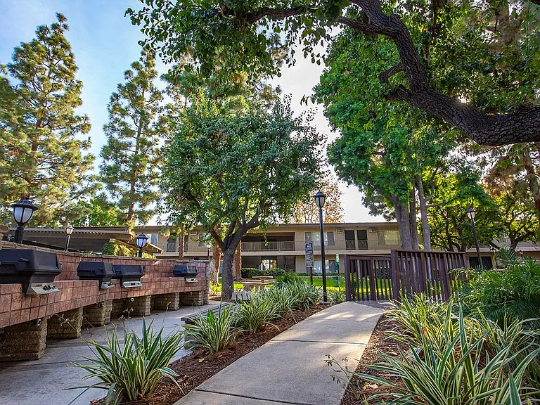 Saddleback Pines Apartment Homes — Photo 9