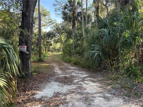 1751 S Palm Ave, Homosassa, FL 34448