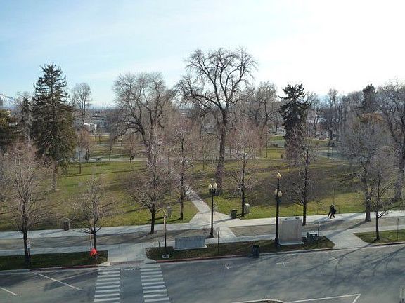 Park view from living room