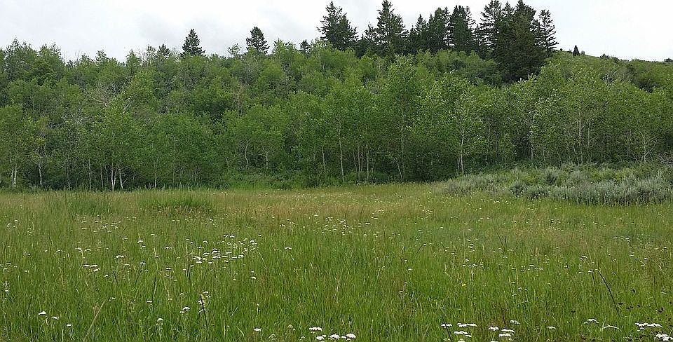 2nd image of Wildcat Rd