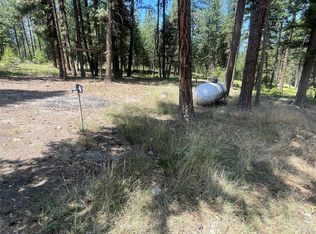 230 High Country Rd, Plains, MT 59859