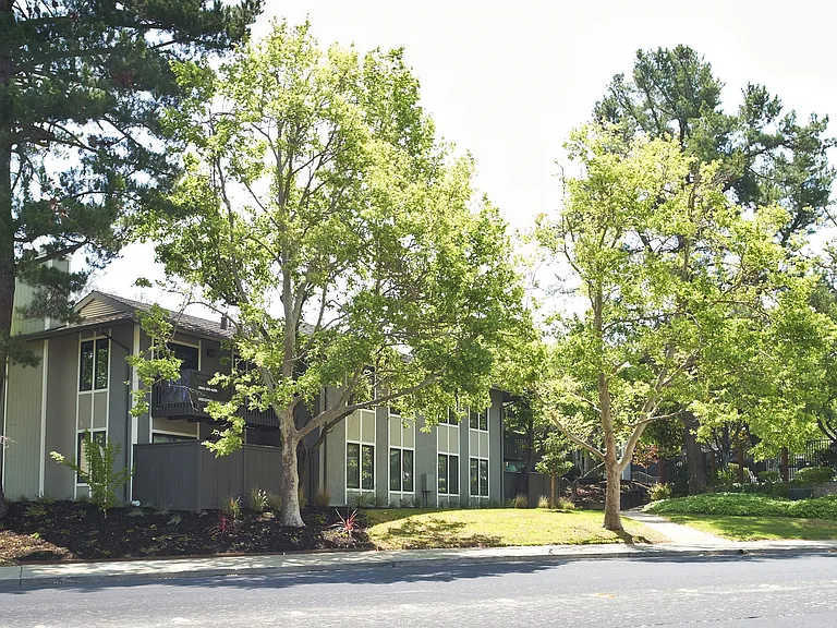 DP1street small