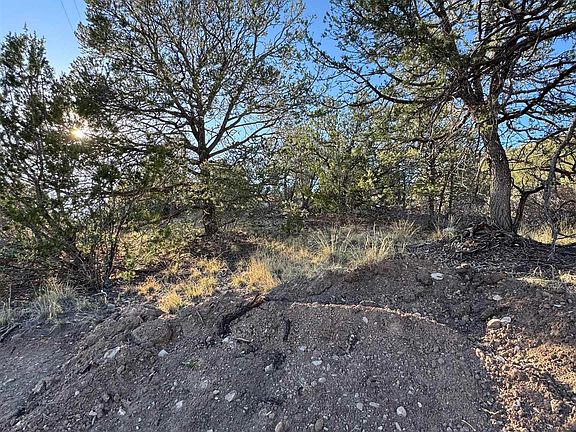 5th image of 80 Longfellow Rd