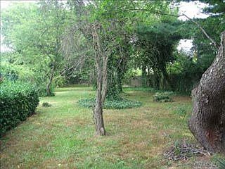3rd image of 91 Split Cedar Dr