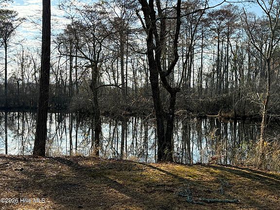 4th image of 103 Raccoon