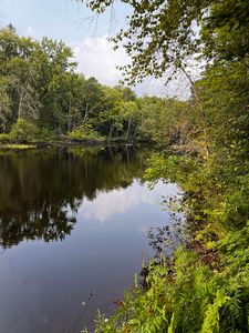 4634 River Bend Rd, Rhinelander, WI, 54501