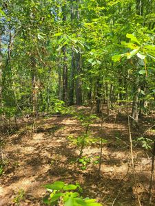 0 Bumpus Rd, Appling, GA, 30802