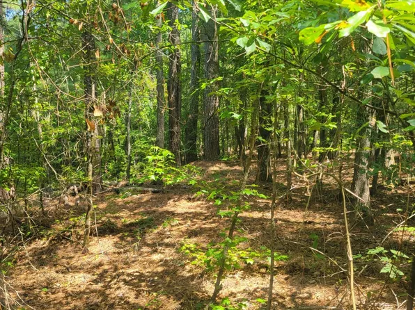 0 BUMPUS Road, Appling, GA 30802