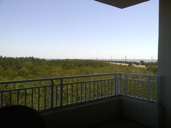 3rd image of 12077 Gandy Blvd N APT 343