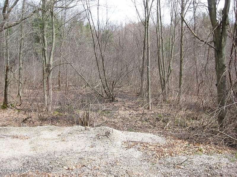 2nd image of Bambi Ln