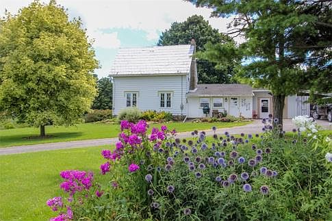 Fruit Trees, Berries, Veggie Gardens