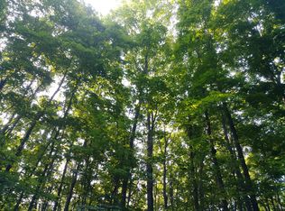 Amanda Ct, Mancelona, MI 49659