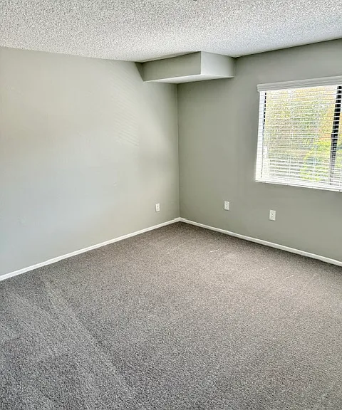 5000 Echo Street — Photo 9