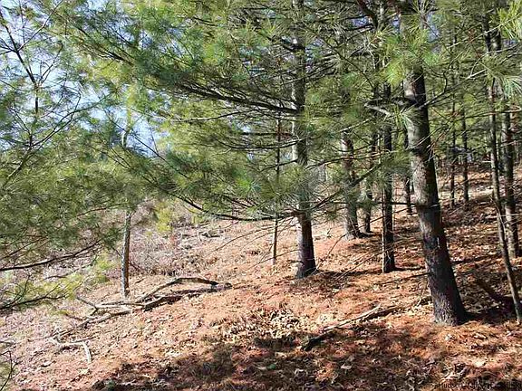 4th image of 385 Queens Hwy