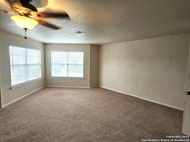 208 Springtree Cv — Photo 23