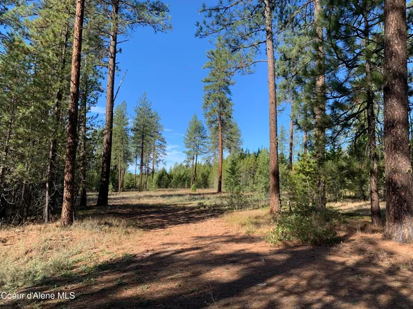 Nna Sonata Lot 2, Oldtown, ID 83822