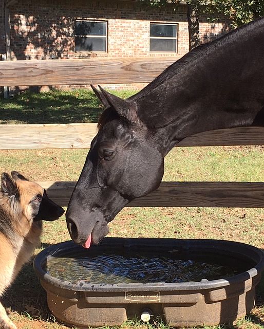 Sharing with a friend