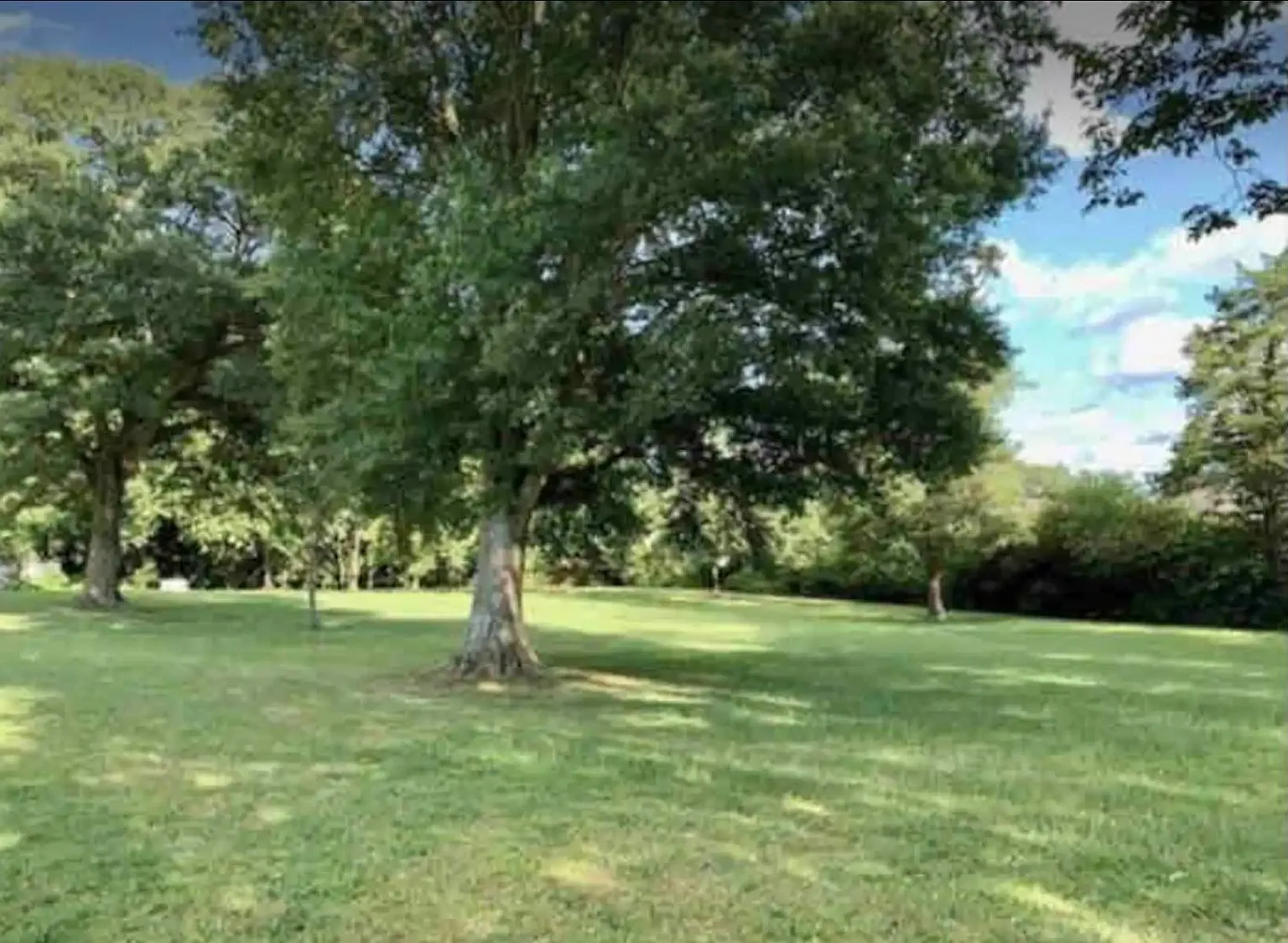 3 bed, 1499 sqft, $2,200 — Photo 3