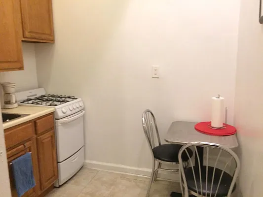 Rented by Manhattan Flats | media 23