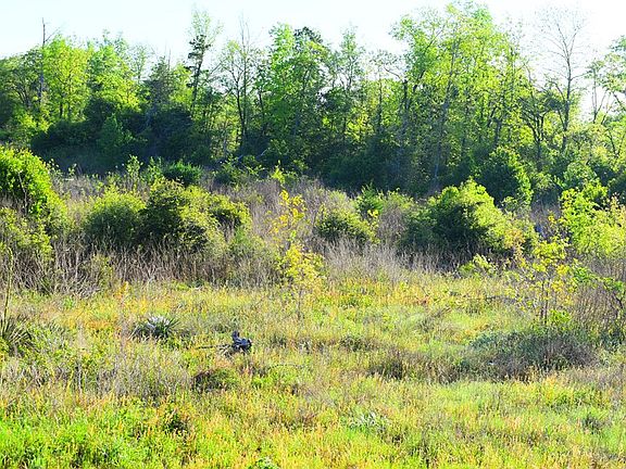 5th image of LOT 1 Gasaway Rd