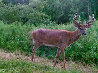 Tbd State Rd, Burtchville, MI 48059