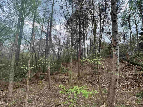 3 Grove Ln, Cleveland, GA 30528
