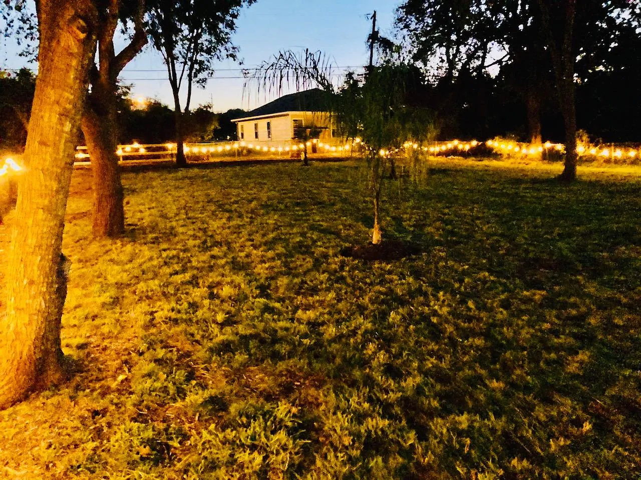 3 bed, 1200 sqft, $1,500 — Photo 3