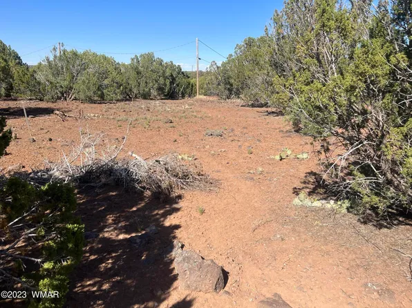 8334 Lone Pine Dr, Show Low, AZ 85901