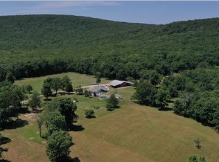 1425 King School Rd, Ironton, MO 63650