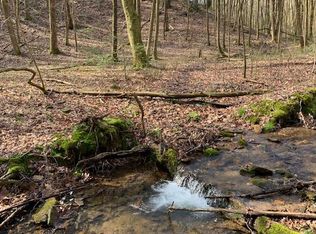 2 S Piney Spur Rd, Ellijay, GA 30536