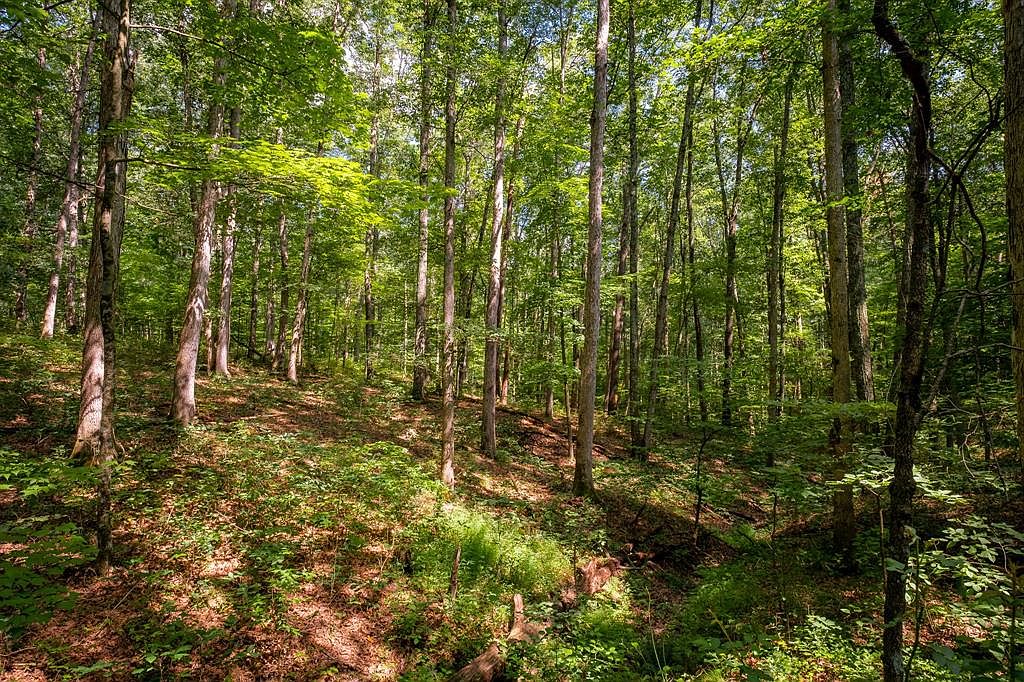 13950 W Mount Healthy Rd, Columbus, IN 47201 MLS 21885109 Zillow