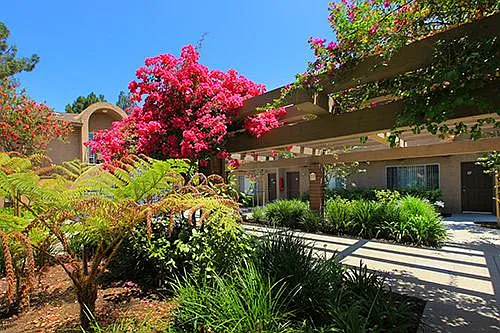 2901 E Yorba Linda Blvd — Photo 10