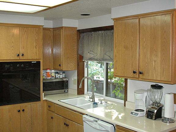 electric oven