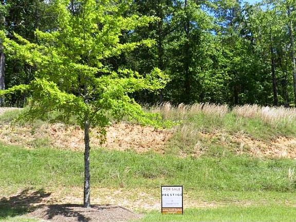 Front View Of Lot
