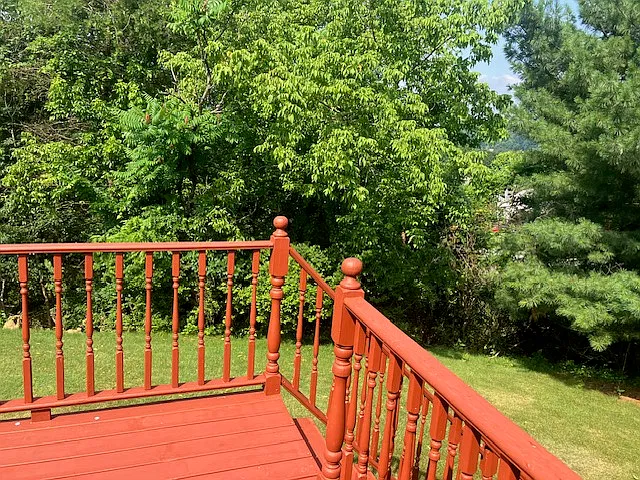 202 Holly Ridge Dr — Photo 6