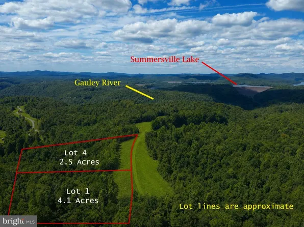 1 Gauley Ridge Rd, Mount Nebo, WV 26679