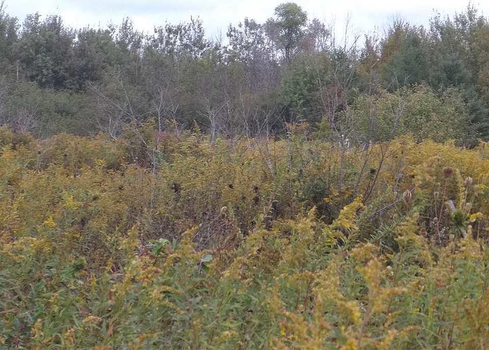 2nd image of 7390 Kokosing Rd