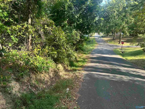 401 25th St NW, Fort Payne, AL 35967