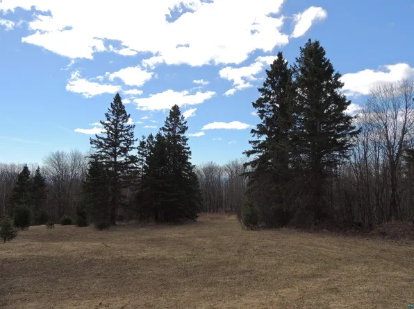411 Springdale Rd, Tofte, MN 55615