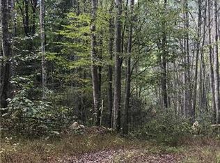 149 -0 Gentry Rd, Hot Springs, NC 28743