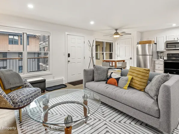 1020 E Durant Ave APT 203, Aspen, CO 81611