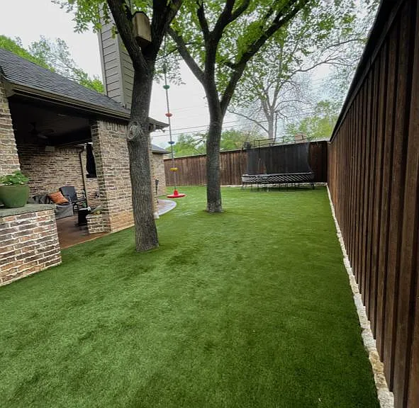 Turfed Backyard