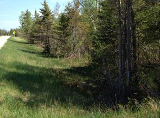 E M48, Goetzville, MI 49736